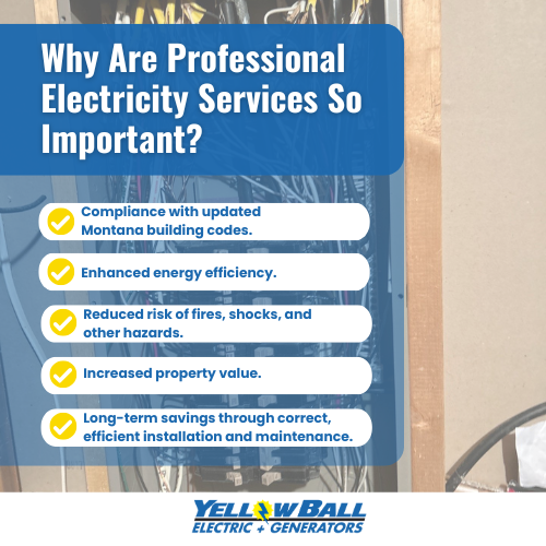 why are professional electricity services so important